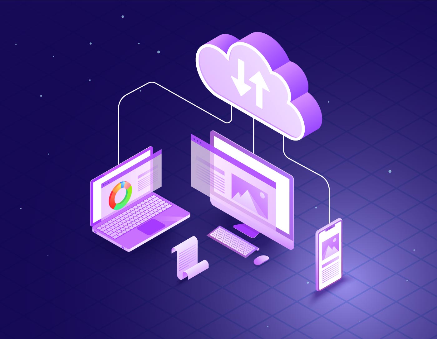 network vector